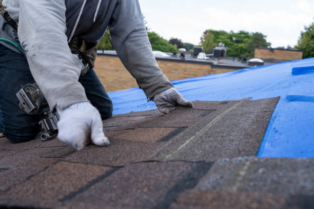 Roof Gutter Cleaning in Briarcliff Manor, NY